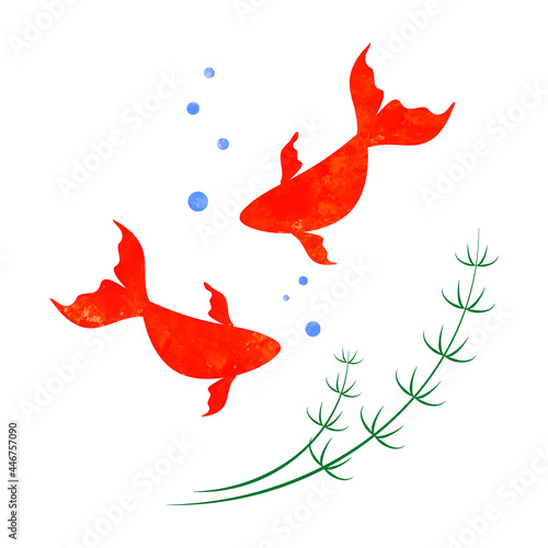 金魚　イラスト
