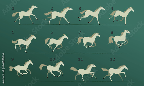 Fototapeta Naklejka Na Ścianę i Meble -  White horse running animation. Twelve key positions of horse running. Vector illustration isolated on white background.