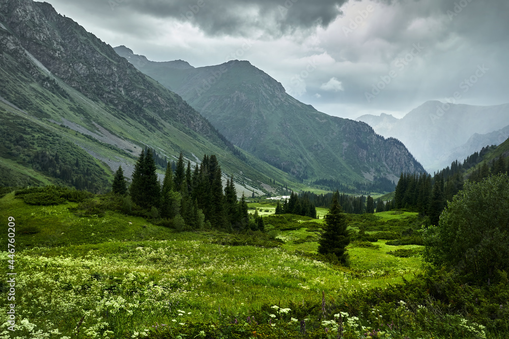 Mountain river valley and green forest in Kazakhstan