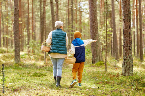 mushroom picking season, leisure and people concept - grandmother and grandson with baskets walking in forest photo
