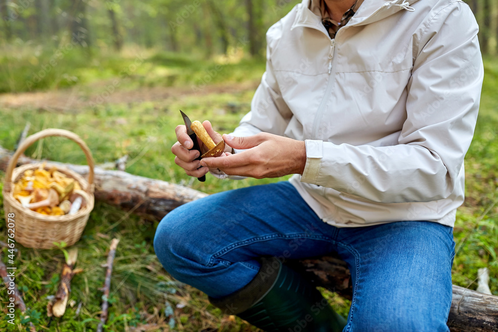 picking season and leisure people concept - close up of middle aged man with wicker basket of mushrooms sitting on fallen tree in autumn forest