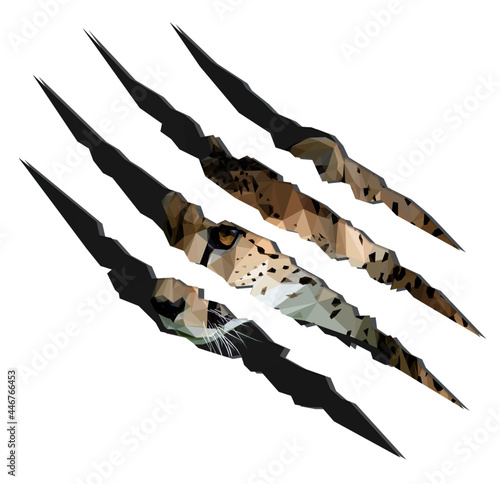 Low poly, geometrical, illustration of an African Cheetah from the side isolated inside of claw marks