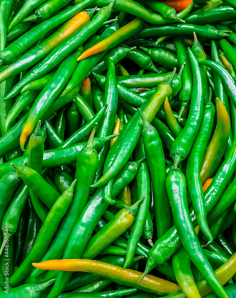 green pepper is spicy delicious healthy green pepper is spicy delicious healthy