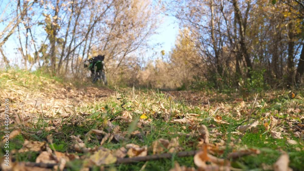 Two motorcyclists riding fast on their motorbikes through autumn forest. Friends having active rest in nature driving powerful motorcycles. Bikers enjoying trip together. Extreme sport concept Two motorcyclists riding fast on their motorbikes through autumn forest. Friends having active rest in nature driving powerful motorcycles. Bikers enjoying trip together. Extreme sport concept