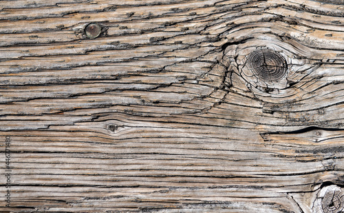 wooden background with nobody. texture background of wood. wooden texture of backdrop