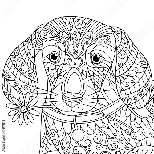 Dachshund dog portrait with flower in mouth. Coloring book page for adult with doodle and zentangle elements. Vector illustration.
