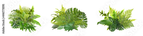 Beautiful composition with fern and other tropical leaves on white background  collage. Banner design