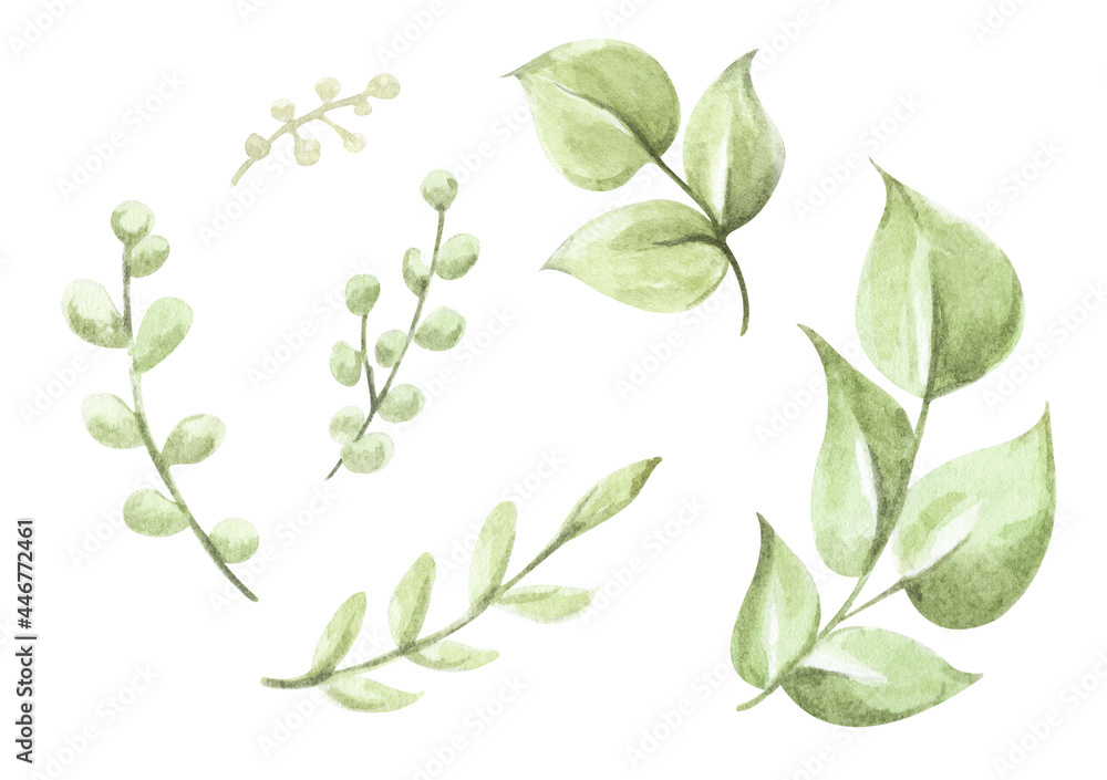 Green leaves elements collection - for bouquets, wreaths, arrangements, wedding invitations, anniversary, birthday, postcards, greetings, cards, logo. Watercolor floral illustration set.