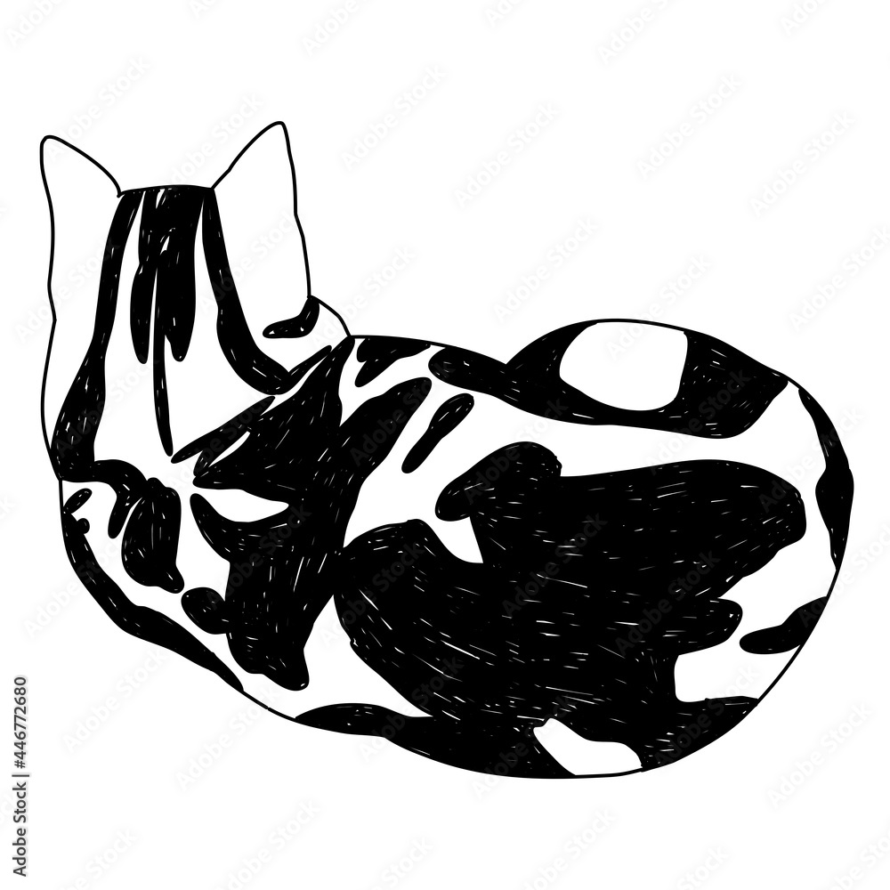 モノクロでシンプルな猫のイラスト アメリカンショートヘア Stock Illustration Adobe Stock