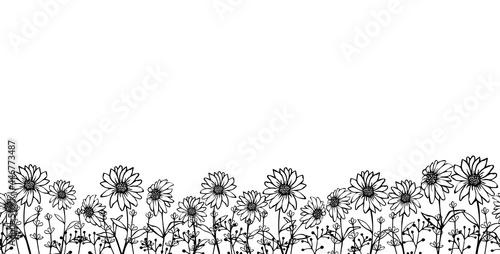 Hand drawn border, frame of small outline black flowers chamomiles in doodle style, horizontal bottom edging, decoration for birthday, greeting card, sale banner,  for kids, gift wrap, textile.
