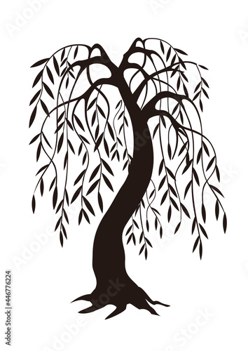 Slika na platnu Weeping Willow tree, black silhouette