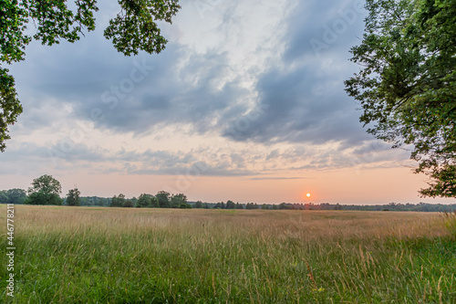 Scene of sunset in Gundwiesen nature reserve near Frankfurt airport photo