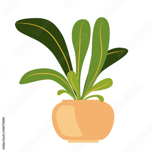 Palm in a pot. Beautiful green houseplant isolated vector.