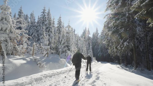 Two cross-country skiers ski down a trail in a snow-covered forest landscape on a sunny day in winter