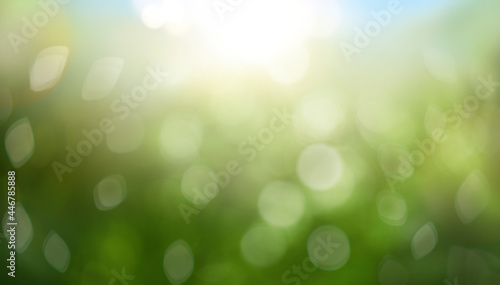 Obraz na płótnie Blurred bokeh background of fresh green spring, summer foliage with blue sky and sun flare. Illustration. w salonie