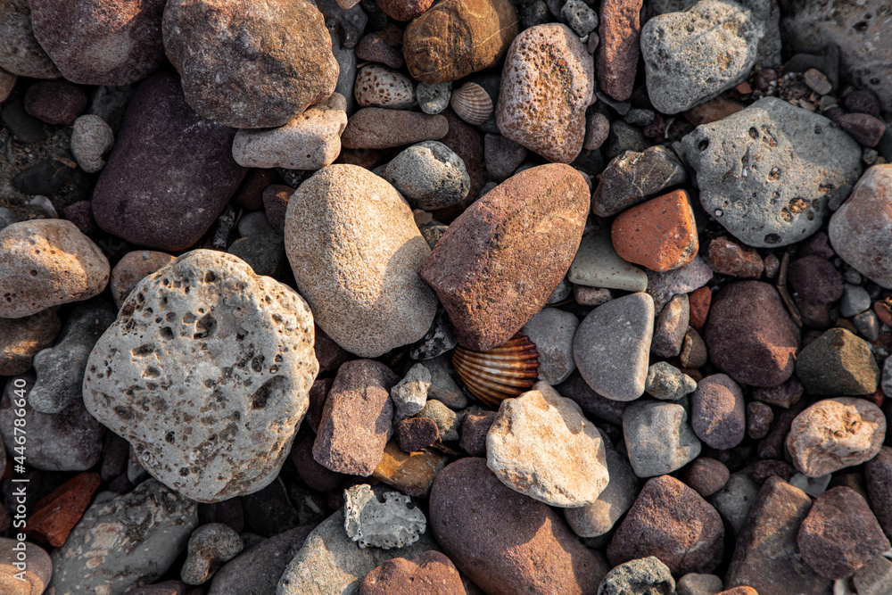 pebbles, sand and shells on the seashore pebbles, sand and shells on the seashore