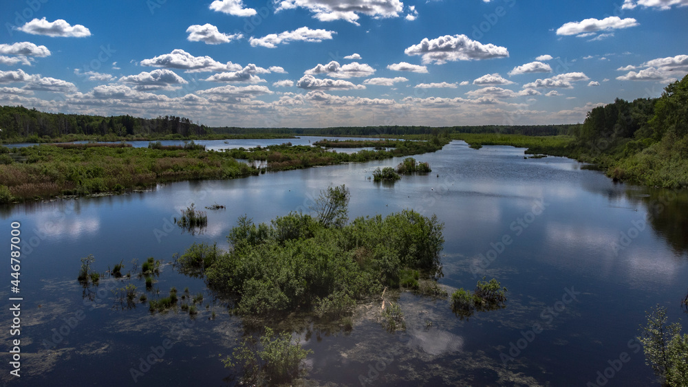 White clouds are reflected in the pond. The upper reaches of the Yauza River. Swampy river White clouds are reflected in the pond. The upper reaches of the Yauza River. Swampy river