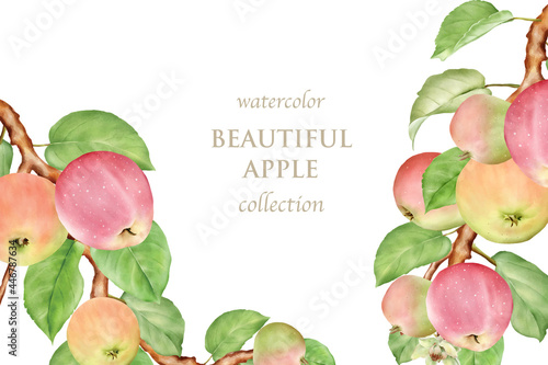 hand drawn watercolor apple card set