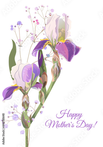 Fotografie, Obraz Vertical Mother's Day card with irises, daffodils (narcissus): blue, purple flowers, gypsophile twig, white background