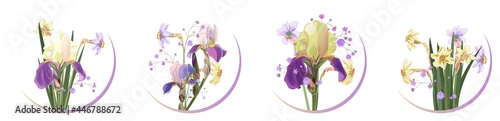 Fotografie, Obraz Round cards with irises, daffodils (narcissus): blue, purple flowers, gypsophile twig, white background