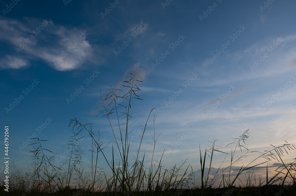 Obraz premium sky and clouds