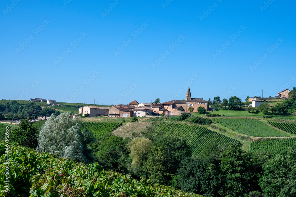 Paysage de vignoble du Beaujolais avec le village de Saint-Véran en été