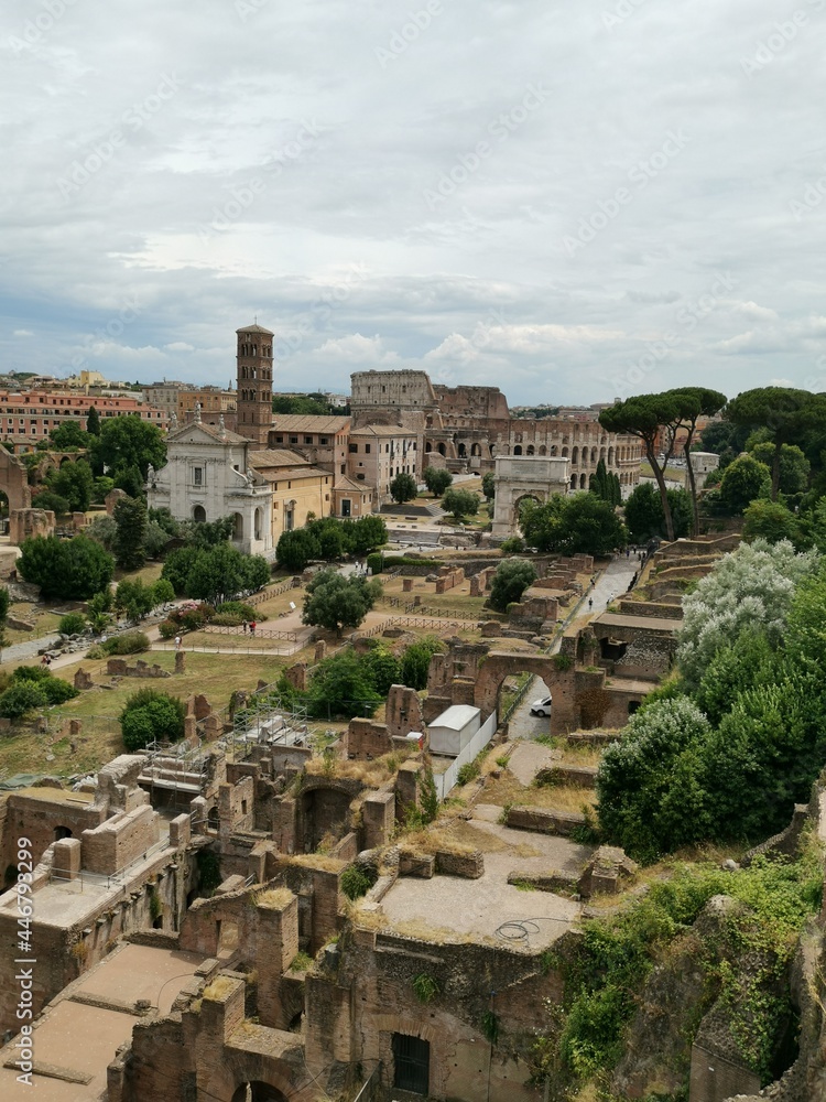 Roman Romanum and Palatine Hill Roma Italy