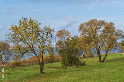 Daugava Promenade on sunny autumn day. Trees in autumn foliaga in the foreground. Hooded crow perched on the tree. River and Riga skyline on the background © Ilga