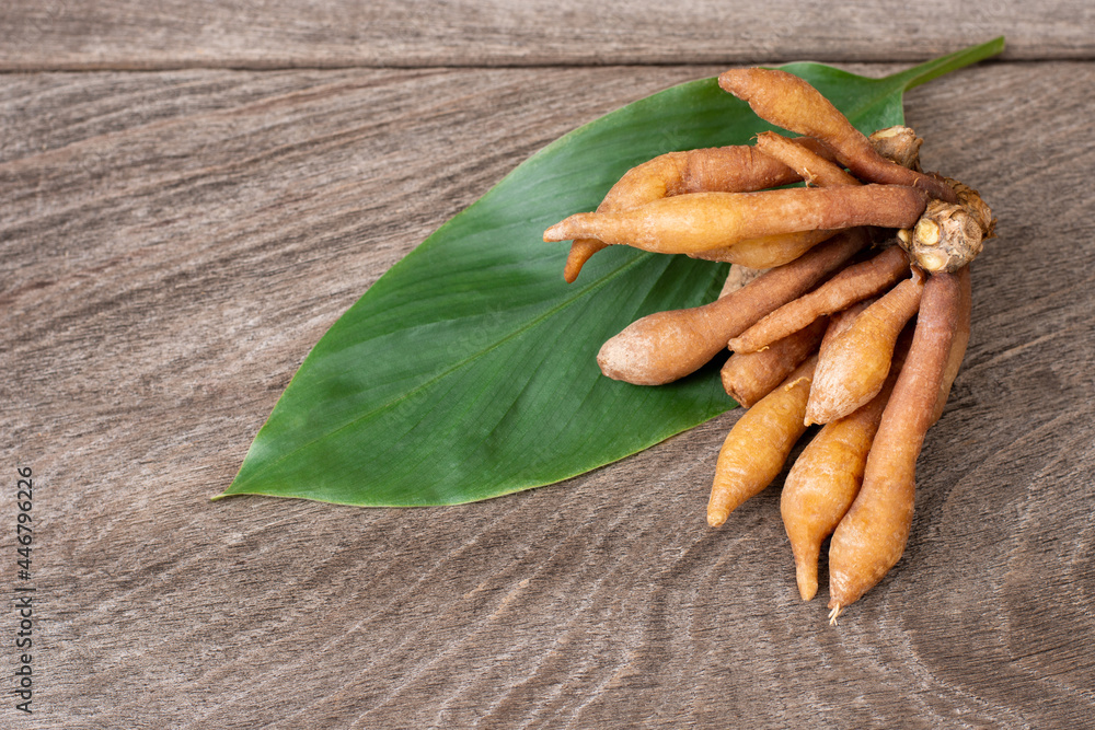 Fingerroot (Chinese Ginger, Galingale, Kaempfer, Boesenbergia rotunda