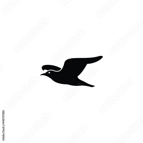 Seagull icon design template vector