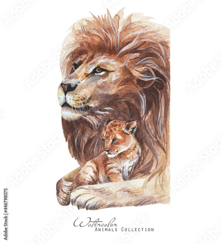Fototapeta Naklejka Na Ścianę i Meble -  Lion and cub portrait. Lions family watercolor illustration