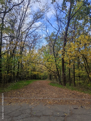 autumn in the park