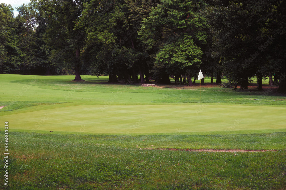 Fototapeta premium Green grass golf field - activity concept.
