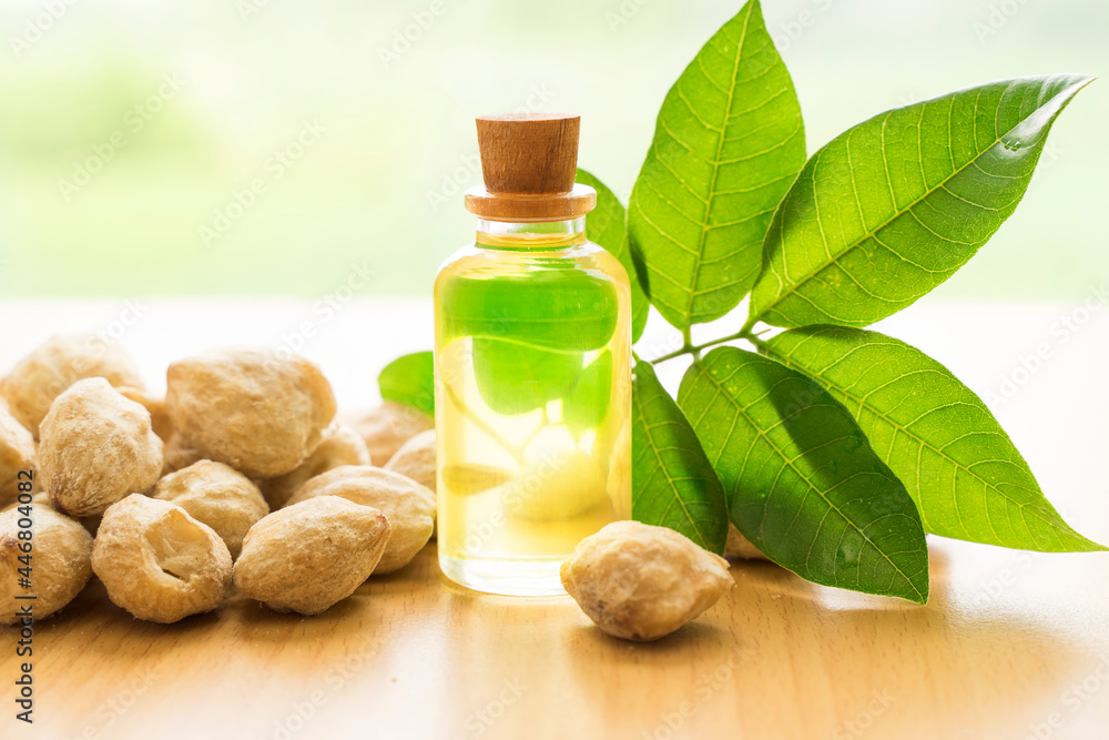 candlenut essential oil on wooden natural background