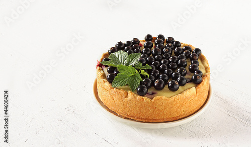 delicious homemade cheesecake with black currant berries on top on a white background on the right. Place for text  