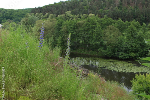 Wallpaper Mural Ukrainian river Southern Bug flows through a picturesque hilly area Torontodigital.ca