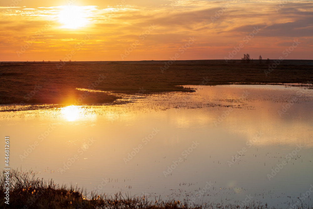 Landscape of the forest-tundra in summer,  the sandy river bank. Arctic Circle, tunda. Beautiful landscape of tundra