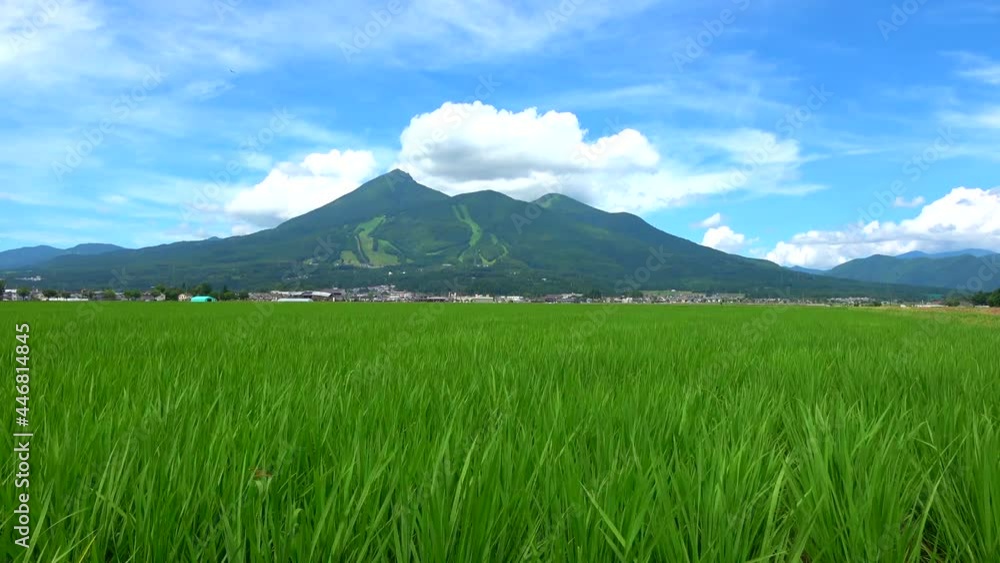 田園と磐梯山(福島県・猪苗代町) 田園と磐梯山(福島県・猪苗代町)