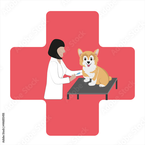 World Day Against Rabies.
Rabies vaccine. Vaccination for a dog. The veterinarian gives the dog an injection. Prevention and health. Animal protection.