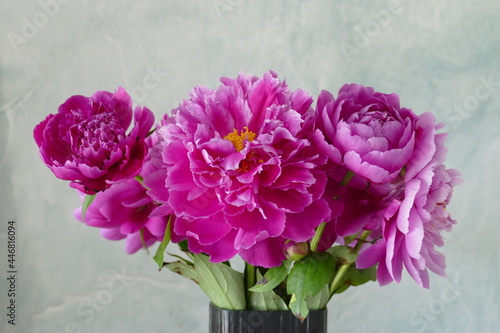  bouquet of pink peonies in a vase against pale green background