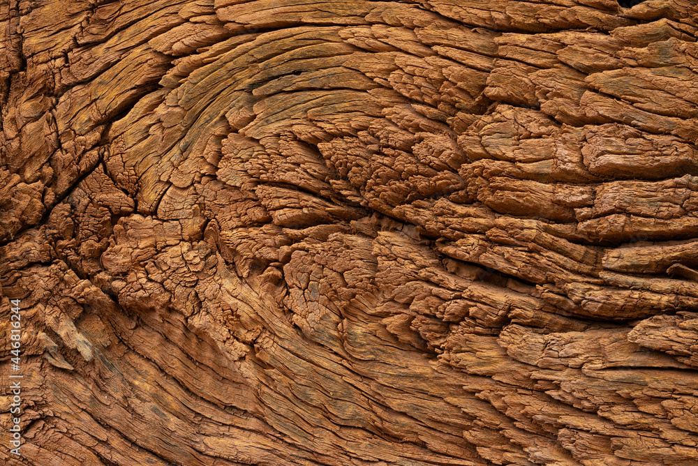 Fototapeta premium Wood background.