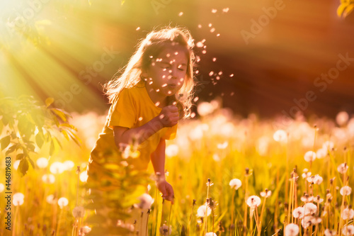 A young girl in the meadow is blowing on a dandelion 