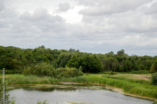 Small Lake Surrounded By Trees At Diemen The Netherlands 30-6-2020