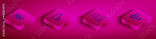 Set Isometric line Protest, Security camera, Vandal and Walkie talkie icon. Vector