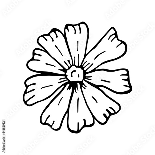 Isolated flower sketch Spring time Vector illustration
