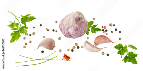 Aromatic spice card. Garlic, parsley herb and red black peppers flying isolated on white photo