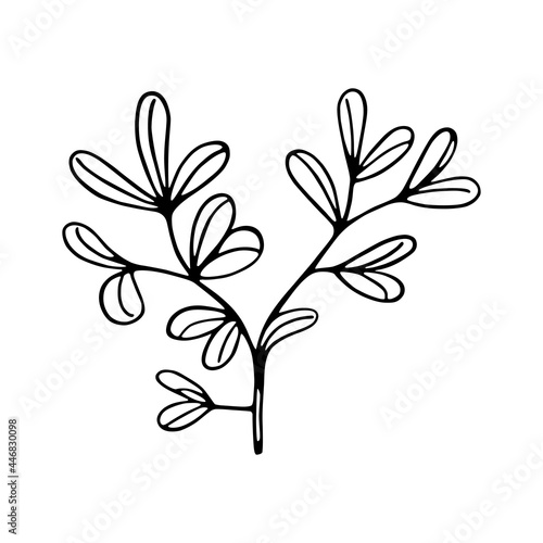 Isolated flower sketch Spring time Vector illustration
