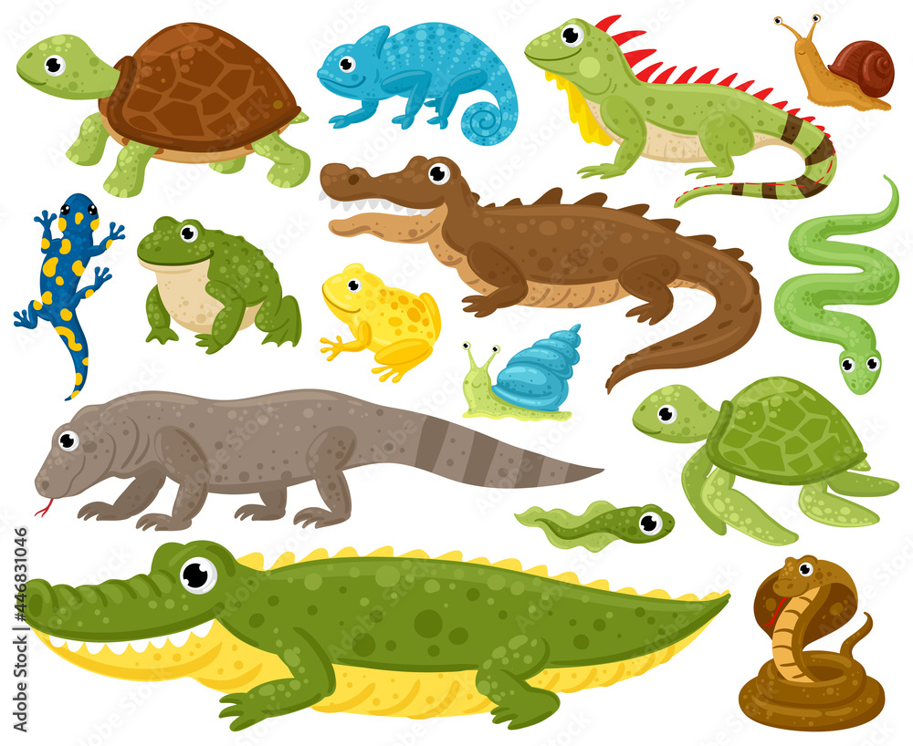 Cartoon amphibians and reptiles. Serpent, reptile and amphibians, frog,  turtle, iguana and python vector illustration set. Wildlife reptiles and  amphibians Stock Vector | Adobe Stock