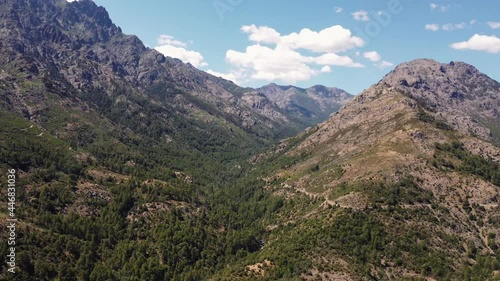 Aerial view of the Tartagine valley, pine forest and mountains in Corsica photo