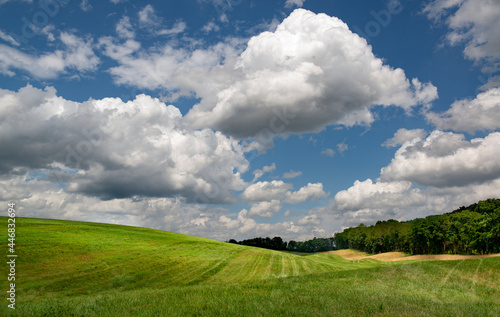 Rolling farmland in Shenandoah Valley of western Virginia in midsummer.